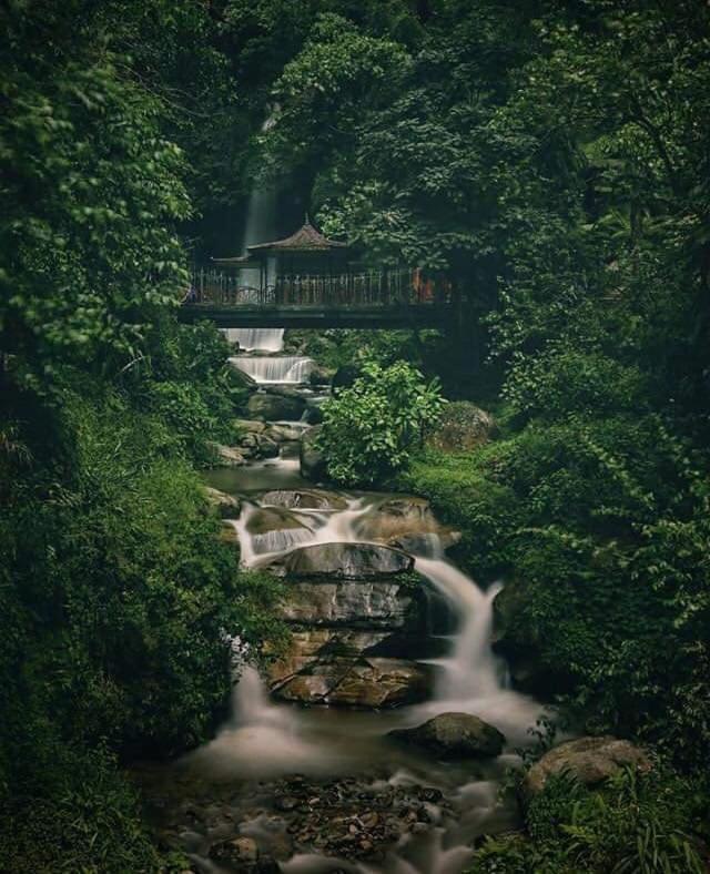 Hotel Woileem Gangtok Kültér fotó